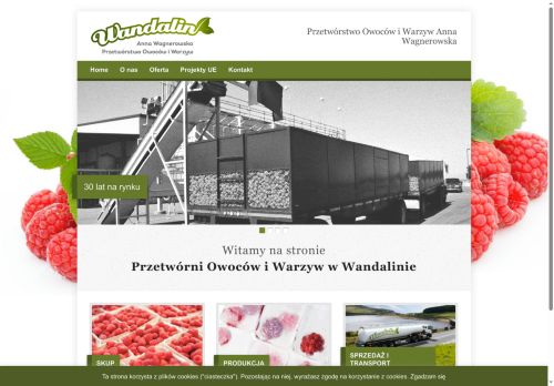 przetworniawandalin.pl