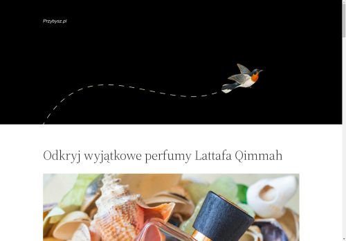 przybysz.pl