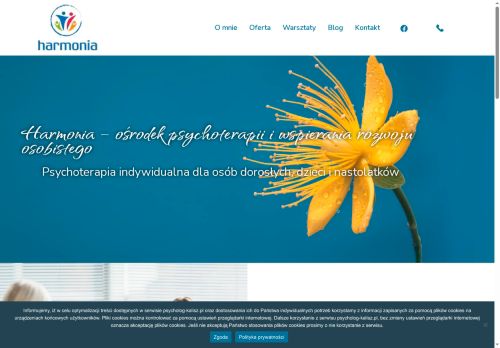 psycholog-kalisz.pl