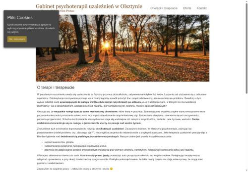 psychoterapia-uzaleznien.net