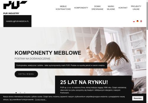 pur-nidzica.pl