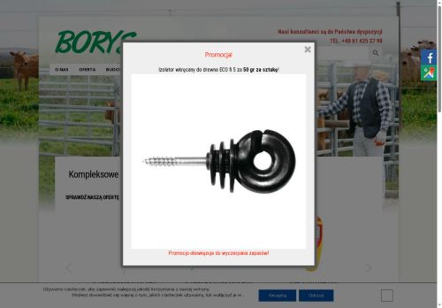 pwborys.pl