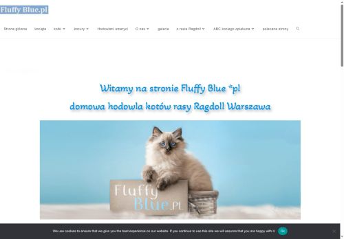 ragdoll-hodowla.pl