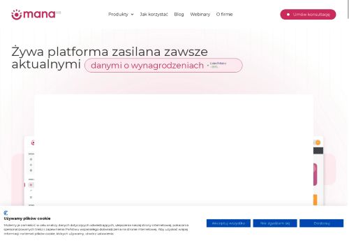 raportplacowy.pl