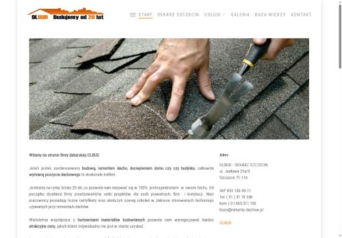 remonty-dachow.pl
