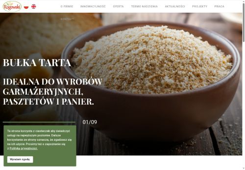 rogowski.net.pl