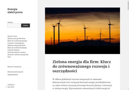 saleneo.pl