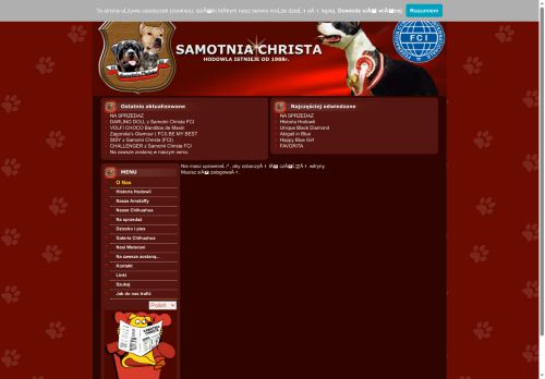 samotniachrista.waw.pl