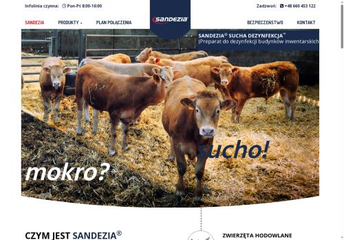 sandezia.com
