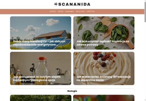 scananida.com.pl