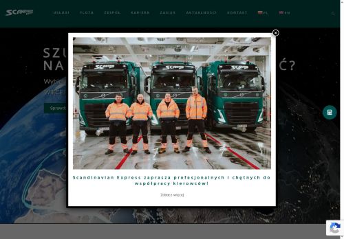 scandinavian.com.pl