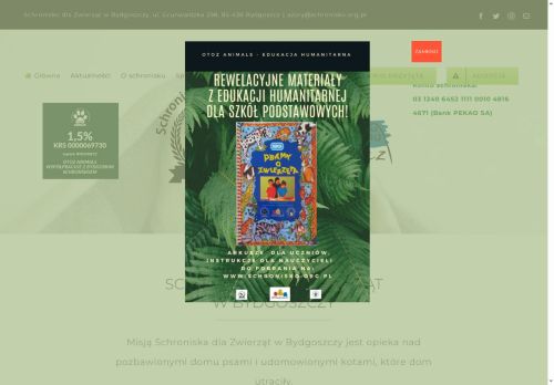 schronisko.org.pl