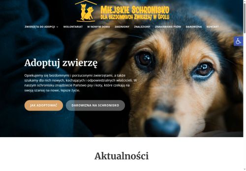 schroniskowopolu.pl