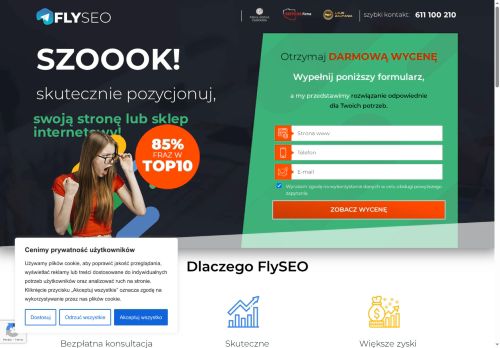 seoplan.pl