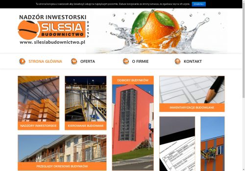 silesiabudownictwo.pl