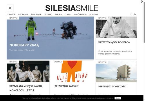 silesiasmile.pl