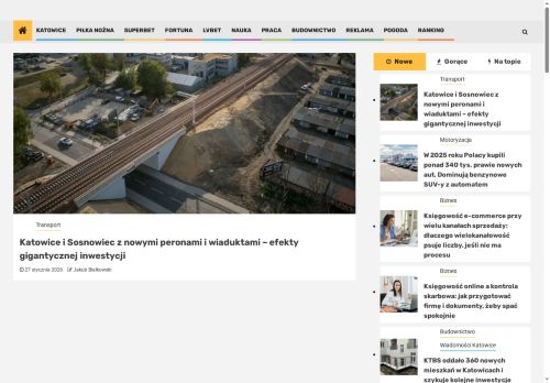 silesion.pl