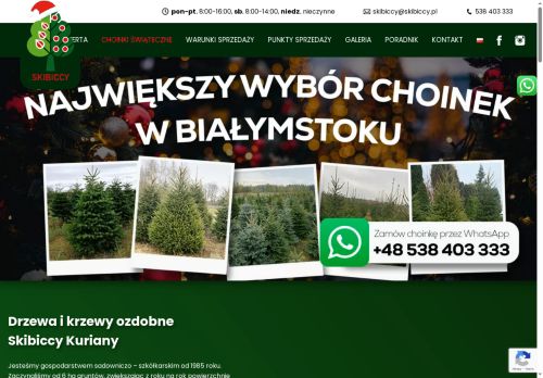skibiccy.pl
