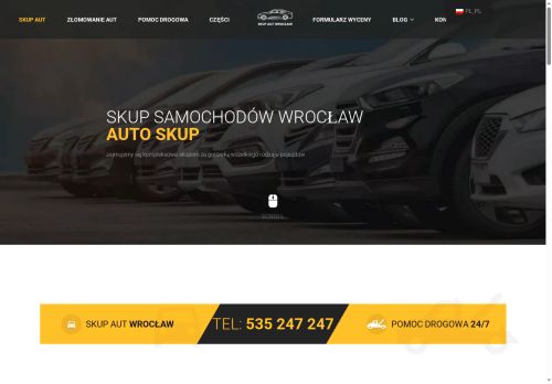 skup-aut.net