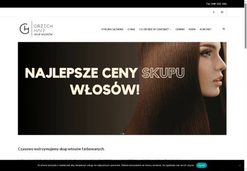 skup-wlosow.info