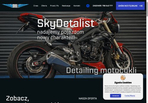 skydetalist.com