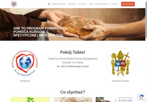 sne.torun.pl