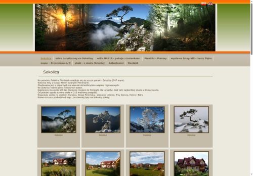 sokolica.eu
