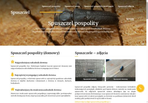 spuszczel.info