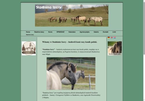 stadninaizery.com