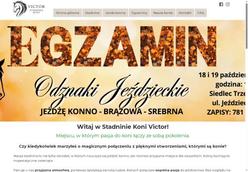 stadninavictor.pl