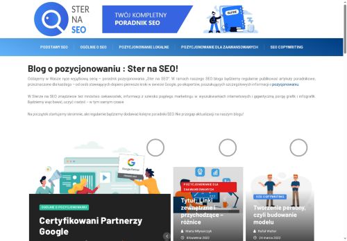 sternaseo.pl