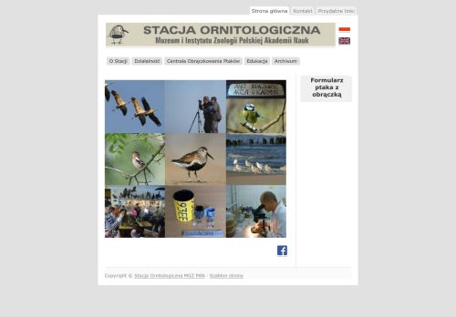 stornit.gda.pl