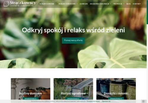 straczkowscy.pl