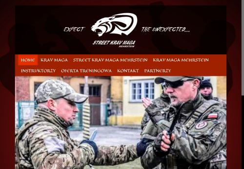 streetkravmaga.pl