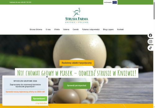 strusie-kniewo.com