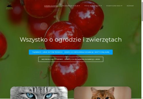 swiadectwaenergetyczne.edu.pl