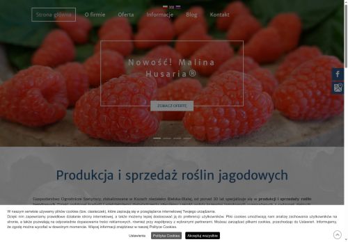 szetynscy.pl