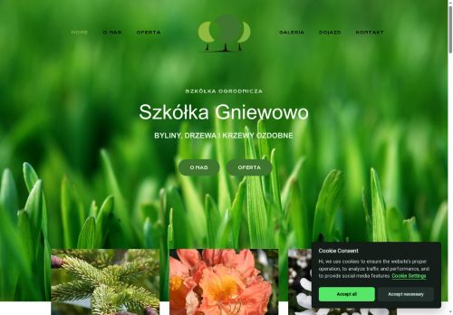 szkolkagniewowo.pl