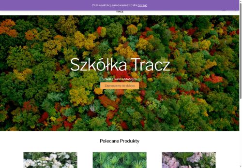 szkolkatracz.pl