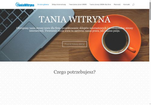 taniawitryna.pl