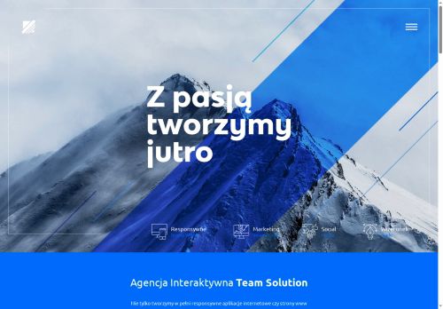 teamsolution.pl