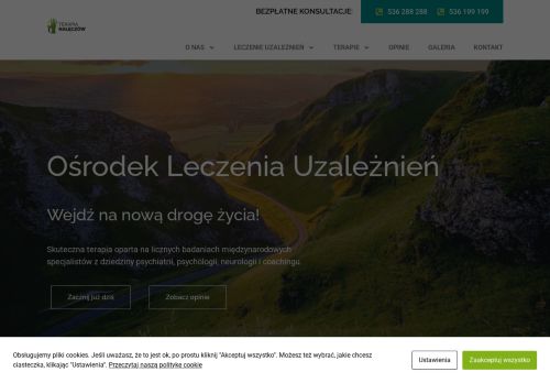 terapianaleczow.pl