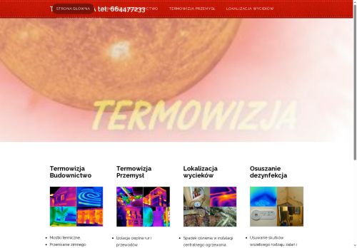 termo.opole.pl