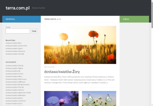 terra.com.pl
