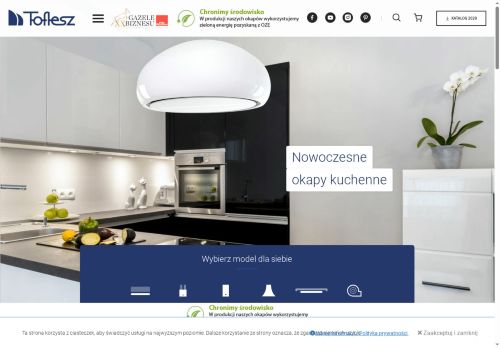 toflesz.com