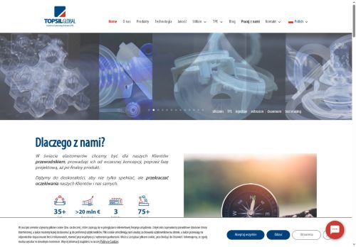 topsilglobal.com