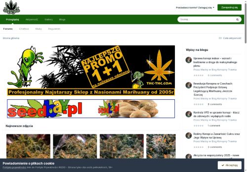 trawka.org