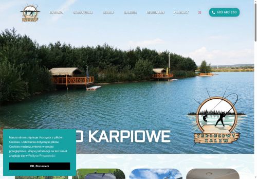 turkusowyzalew.pl