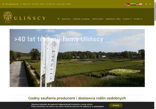 ulinscy.pl