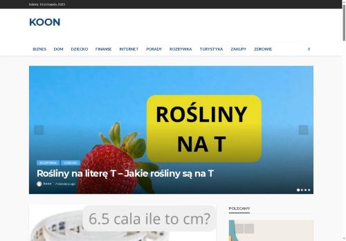 ventrilo.koon.pl